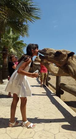 Camel Park Sunny Beach