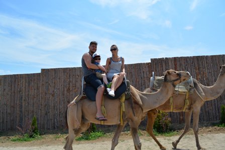 Camel Park Sunny Beach