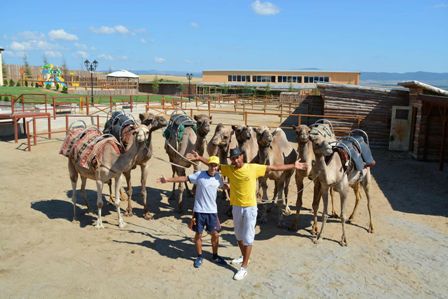 Camel Park Sunny Beach